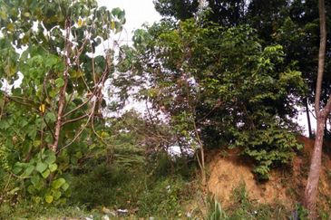 4 Acres Agricultural Land at Kg Sg Merab, Dengkil
