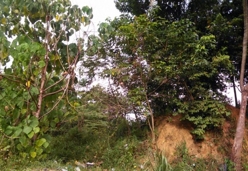 4 Acres Agricultural Land at Kg Sg Merab, Dengkil