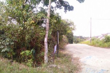 4 Acres Agricultural Land at Kg Sg Merab, Dengkil