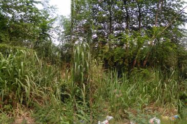 4 Acres Agricultural Land at Kg Sg Merab, Dengkil