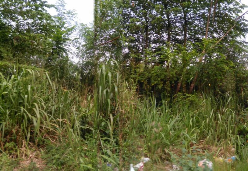 4 Acres Agricultural Land at Kg Sg Merab, Dengkil