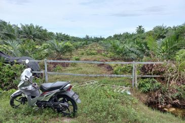 2.6 acres oil palm land at Tanjong Sepat, Kuala Langat