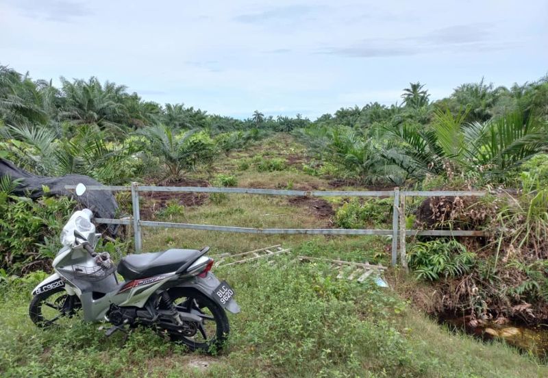 2.6 acres oil palm land at Tanjong Sepat, Kuala Langat