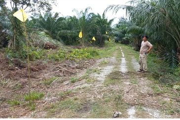 2.6 acres oil palm land at Tanjong Sepat, Kuala Langat