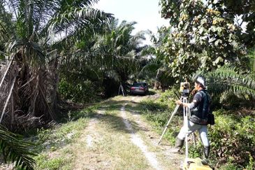 2.6 acres oil palm land at Tanjong Sepat, Kuala Langat