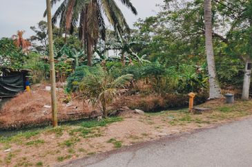 3.3 Acres Agricultural Land at Kg Sg Kandis, Klang.