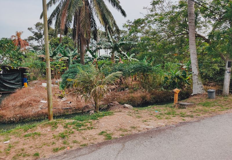 3.3 Acres Agricultural Land at Kg Sg Kandis, Klang.