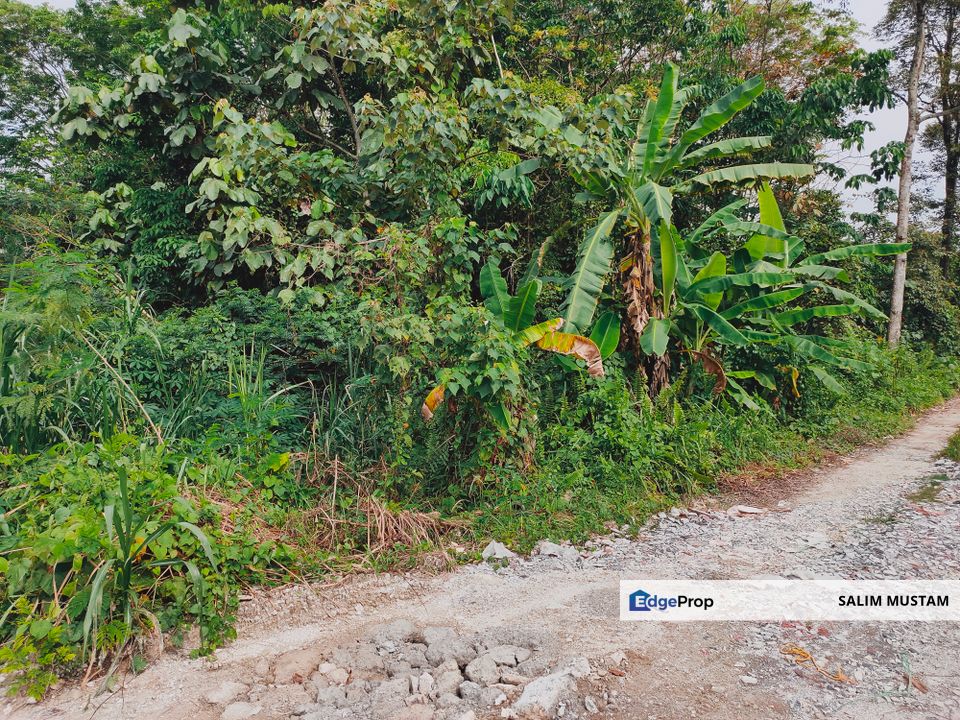 3.3 Acres Agricultural Land at Kg Sg Kandis, Klang., Selangor, Klang