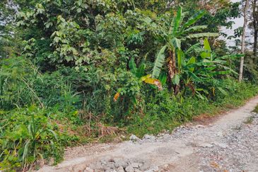 3.3 Acres Agricultural Land at Kg Sg Kandis, Klang.