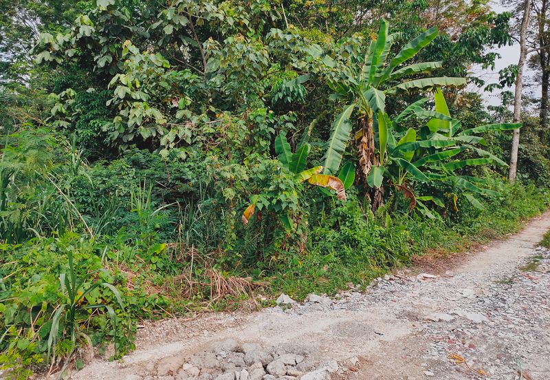 3.3 Acres Agricultural Land at Kg Sg Kandis, Klang.