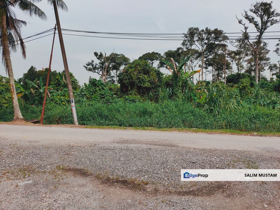 3.3 Acres Agricultural Land at Kg Sg Kandis, Klang., Selangor, Klang