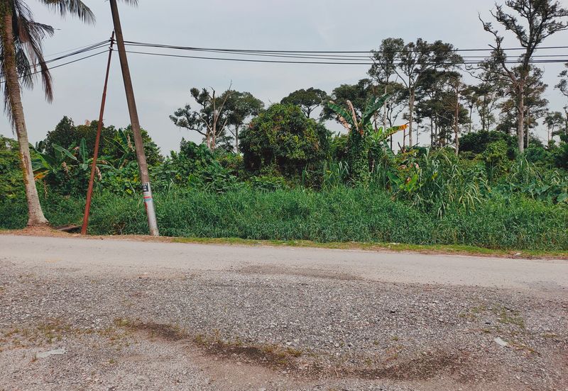3.3 Acres Agricultural Land at Kg Sg Kandis, Klang.