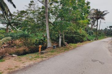 3.3 Acres Agricultural Land at Kg Sg Kandis, Klang.