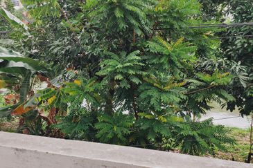 Taman Lembah Keramat