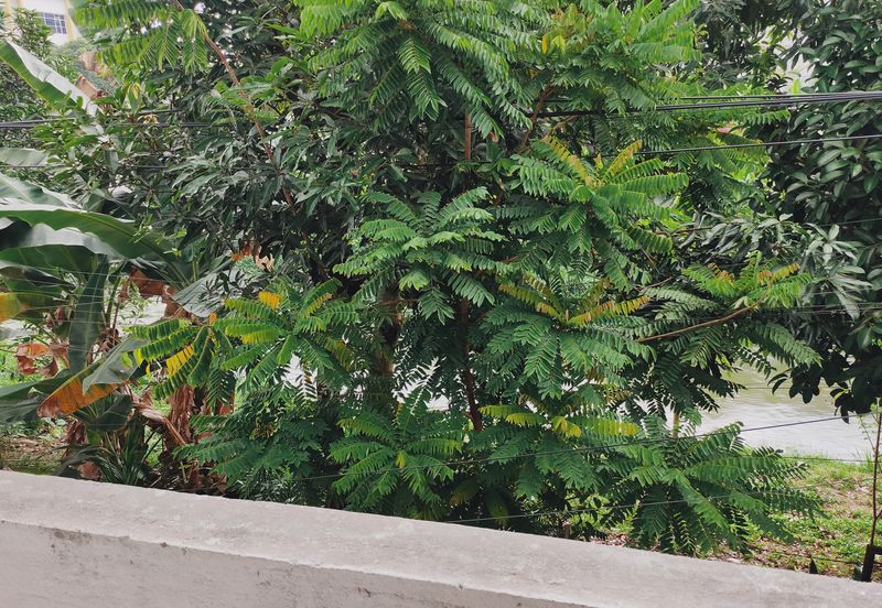 Taman Lembah Keramat