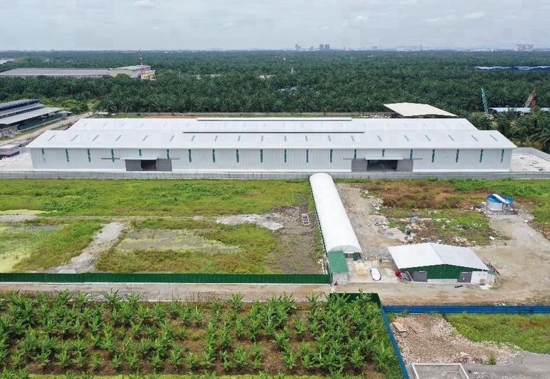 Kawasan Perusahaan Telok Mengkuang