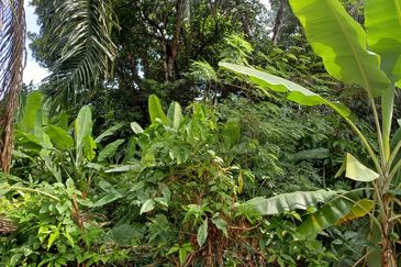 Bungalow Lot Near MRT Stn. No. 2, Kg Selamat, Sg Buloh