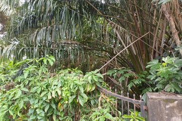 Bungalow Lot Near MRT Stn. No. 2, Kg Selamat, Sg Buloh