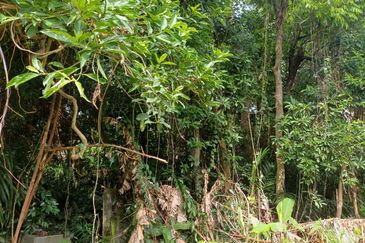 Bungalow Lot Near MRT Stn. No. 2, Kg Selamat, Sg Buloh