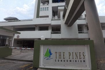 The Pines