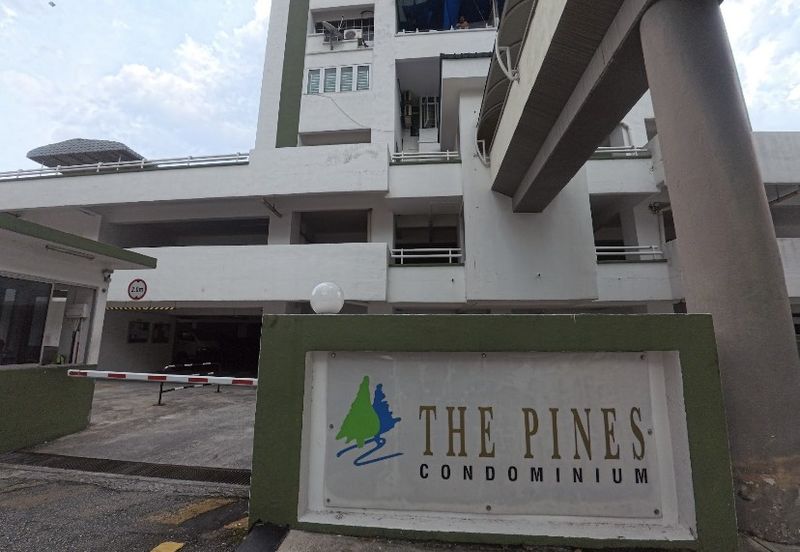The Pines