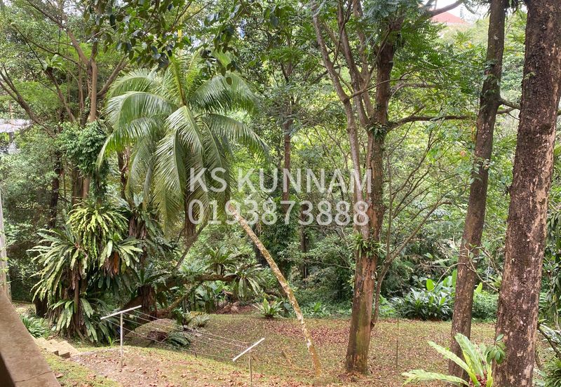 Jalan Langgak Tuanku 