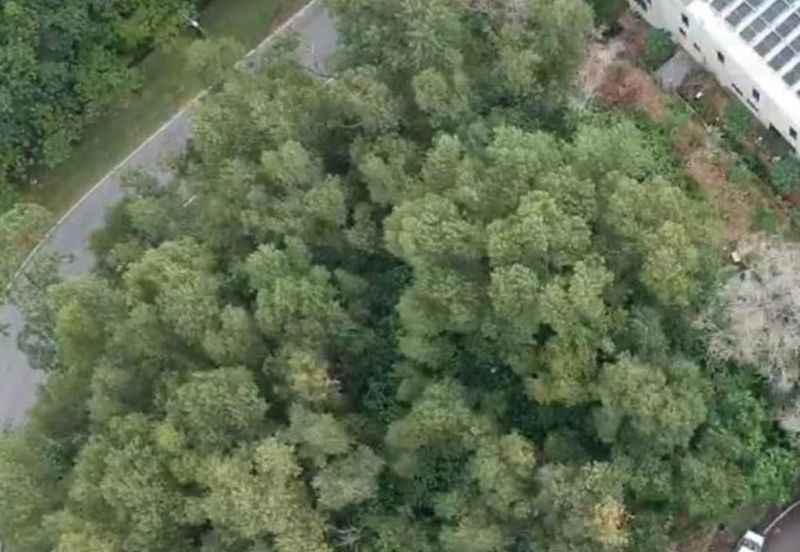 Taman Bukit Rahman Putra