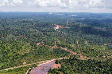 2,000 ac raw land for palm in Kuala Rompin Pahang