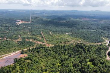 2,000 ac raw land for palm in Kuala Rompin Pahang