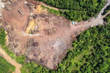 2,000 ac raw land for palm in Kuala Rompin Pahang