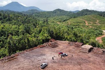 2,000 ac raw land for palm in Kuala Rompin Pahang