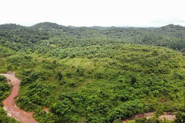 2,000 ac raw land for palm in Kuala Rompin Pahang