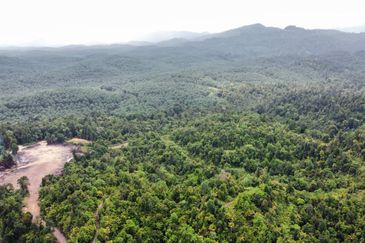 2,000 ac raw land for palm in Kuala Rompin Pahang