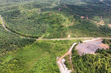 2,000 ac raw land for palm in Kuala Rompin Pahang