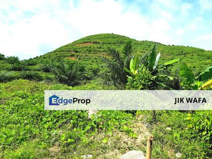 955 ac non bumi oil palm plantation in Sg Siput Perak, Perak, Kuala Kangsar