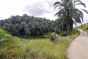 Sungai Siput