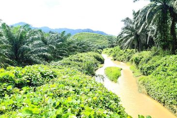 Sungai Siput