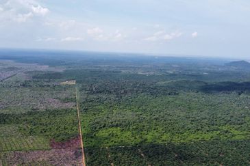 Bandar Satelit Muadzam Shah