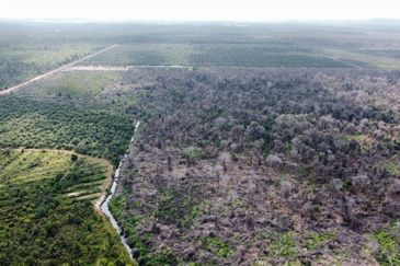 Bandar Satelit Muadzam Shah