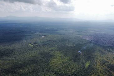 Bandar Satelit Muadzam Shah