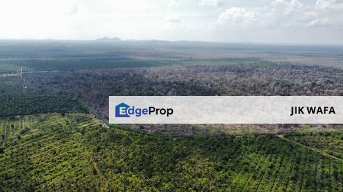 1779 acres bare land in Kuala Rompin, Pahang, Pahang, Kuala Rompin