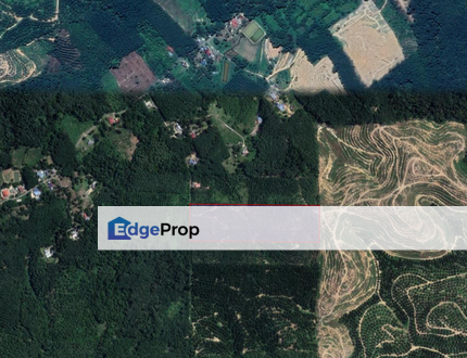 10 acres of fruit farm 5 mins from main road in Johol Negeri Sembilan, Negeri Sembilan, Johol