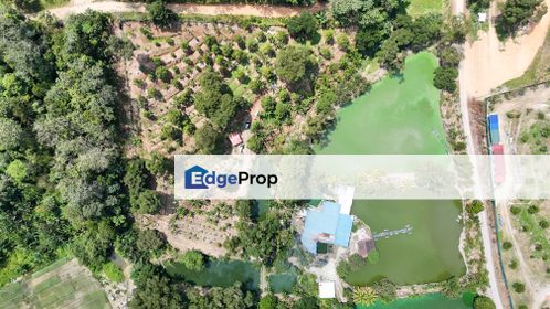 3.76 acres non bumi durian farm with 6 ponds with ready access in Hulu Langat, Selangor, Hulu Langat