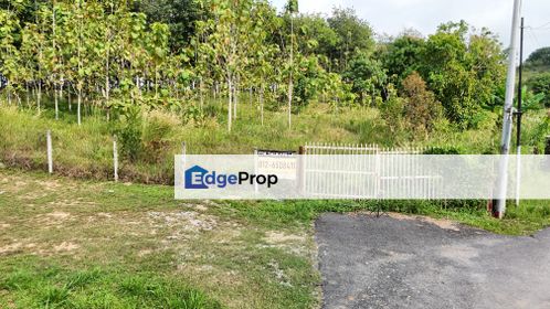 1.8 ac land on hilltop for rent in Kg Bukit Kadir, Nilai, Negeri Sembilan, Negeri Sembilan, Nilai