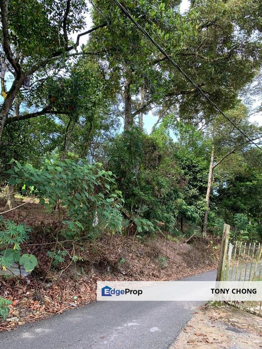 Agricultural land for sale, Selangor, Hulu Langat