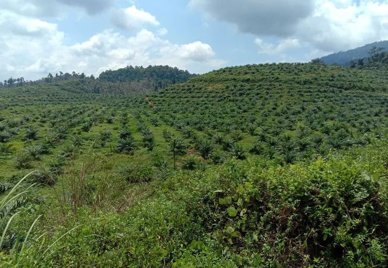 JALAN KARAK - BENTONG