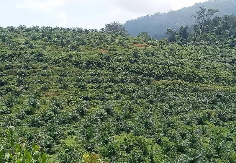 JALAN KARAK - BENTONG