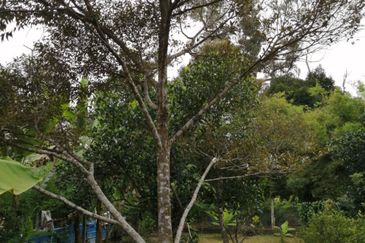 JALAN KARAK - BENTONG