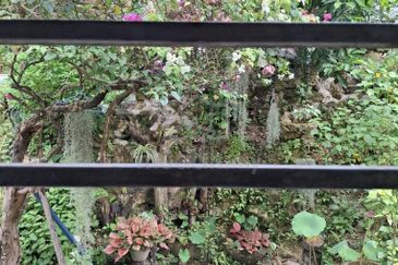 Taman Saujana Puchong