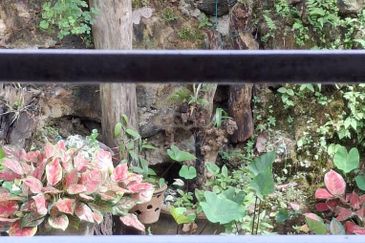 Taman Saujana Puchong